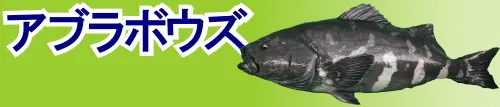 アブラボウズ特集トップ